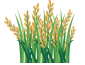 Agriculture - Farming and Water